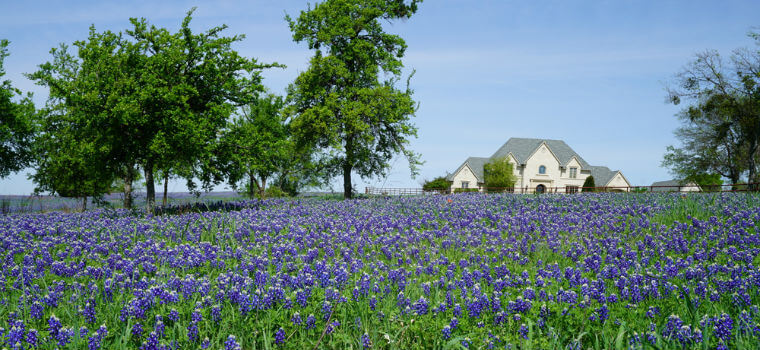 what is exempt property in Texas?