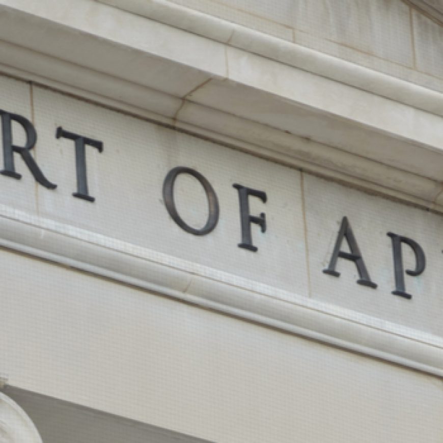 What the Federal Civil Appeals Process Looks Like